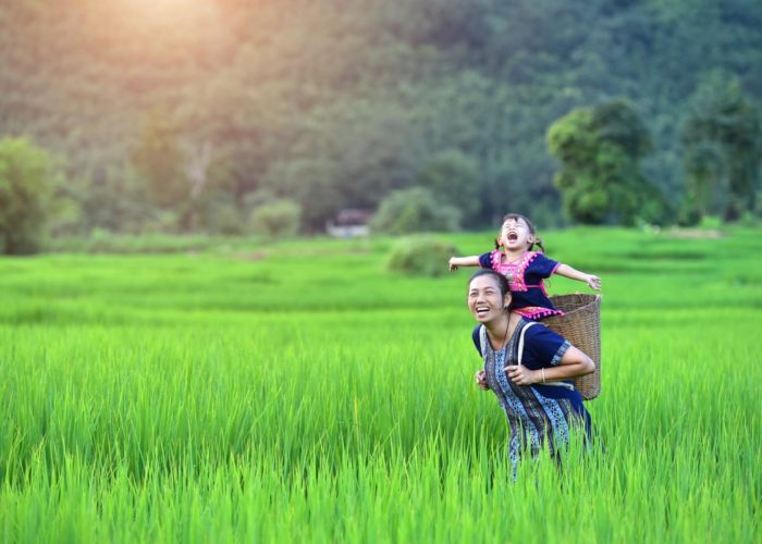 Mère et enfant dans les rizières du Vietnam