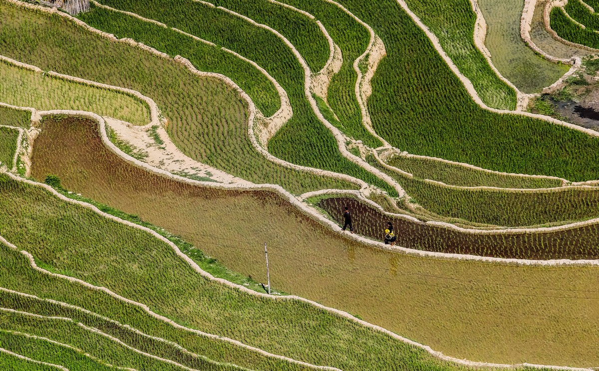 rizières vue d'en haut - Xplore Vietnam
