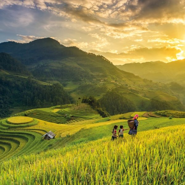 Famille de cultivateurs vietnamiens