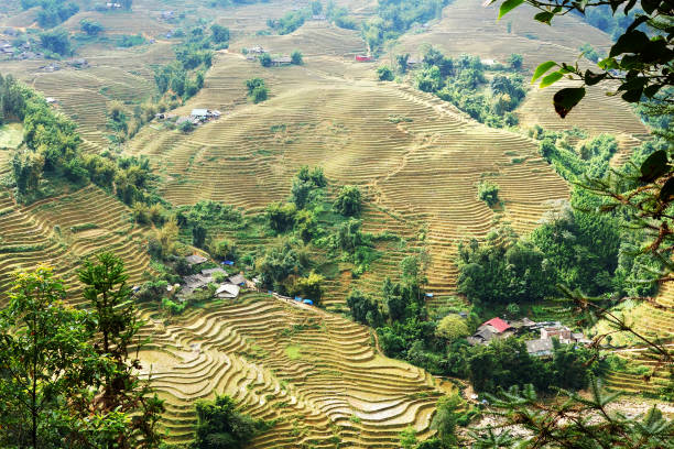ha giang 4