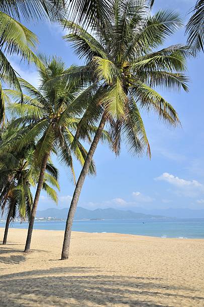 Nha trang 2