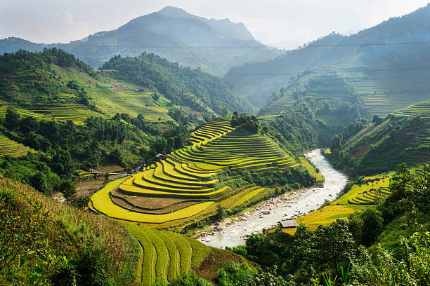ha giang 1