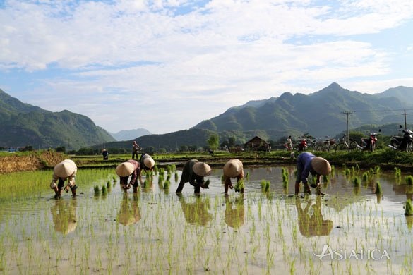 Village poom coong