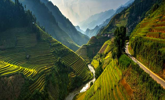 Mu Cang Chai riziere